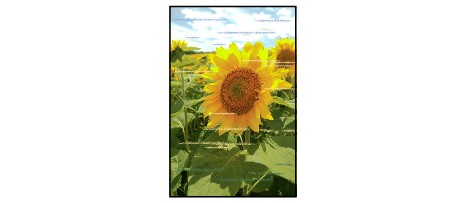 キヤノン：インクジェット マニュアル｜TR9530 series｜色むらや色すじ